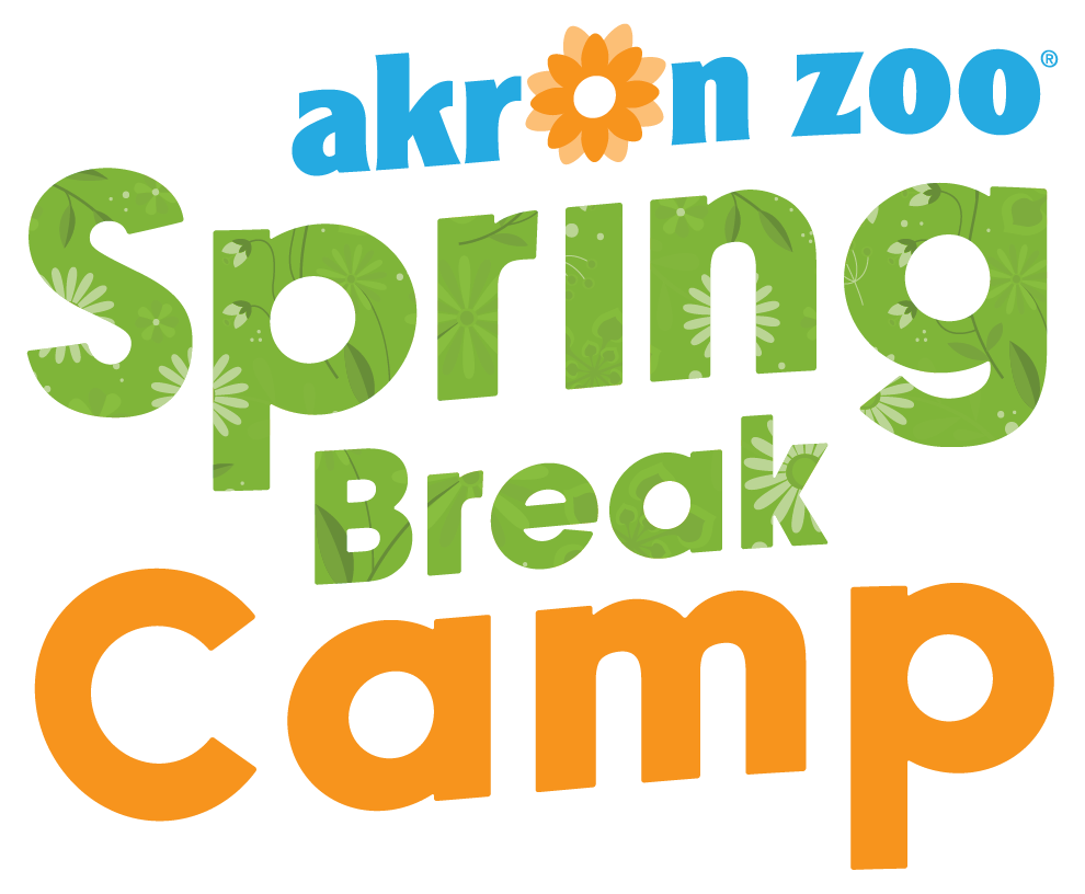 Spring Break camp logo