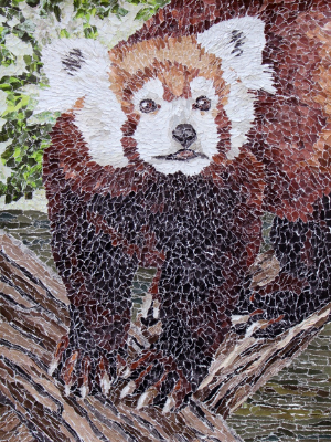 Red Panda Drawing