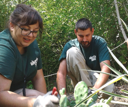 zoo staff