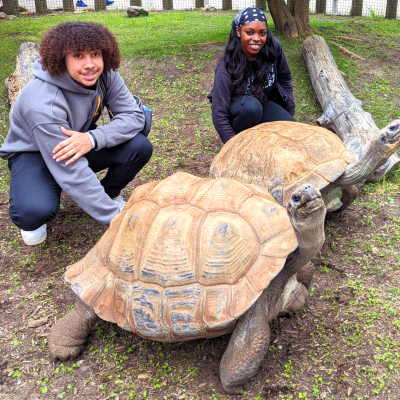 Teens with Galpagos tortoises