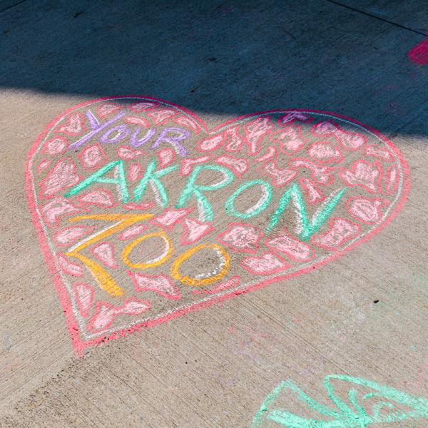 chalk a palooza