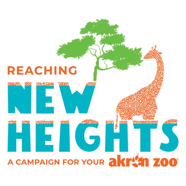 Reaching New Heights logo