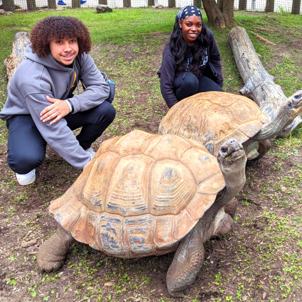 Teens with Galpagos tortoises